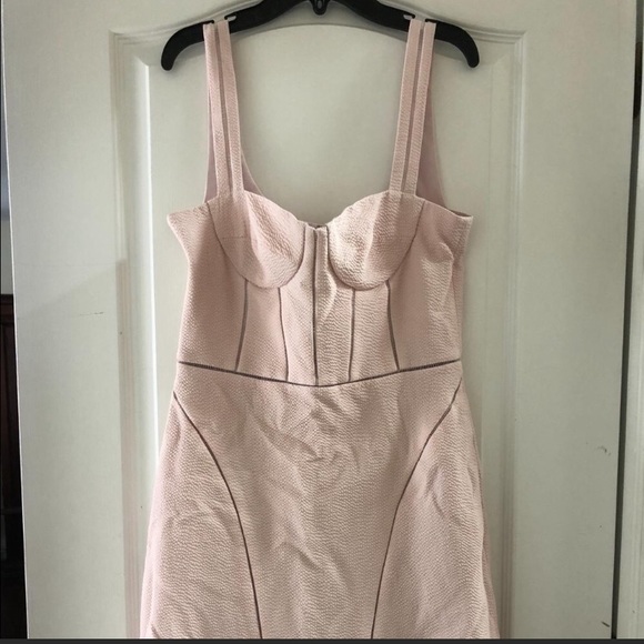 Gorgeous Jonathan Simkhai Blush Bustier Dress - Picture 4 of 4